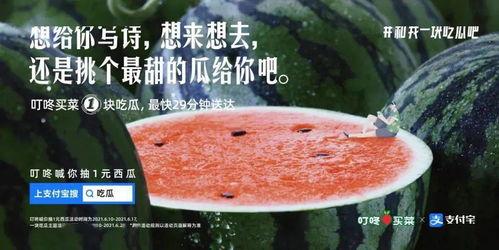 让人吃瓜文案,揭秘那些让人津津乐道的吃瓜瞬间