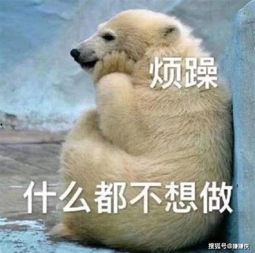 憨厚的吃瓜群众图片,捕捉生活中的纯真瞬间